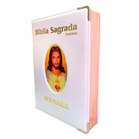 Bíblia Ilustrada Luxo - Grande - Branca