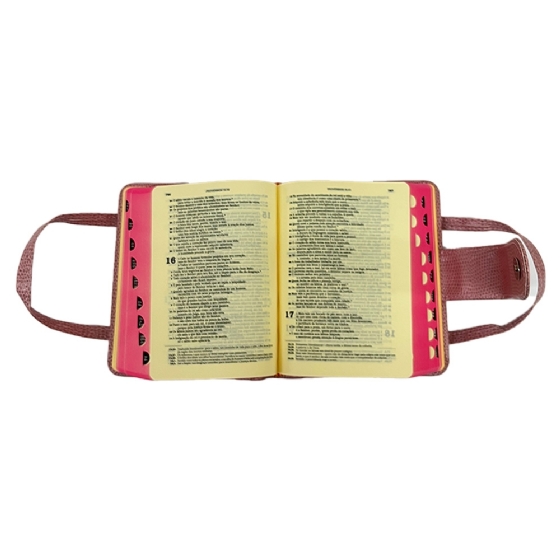 Bíblia com Alça - Bolso - Rosa
