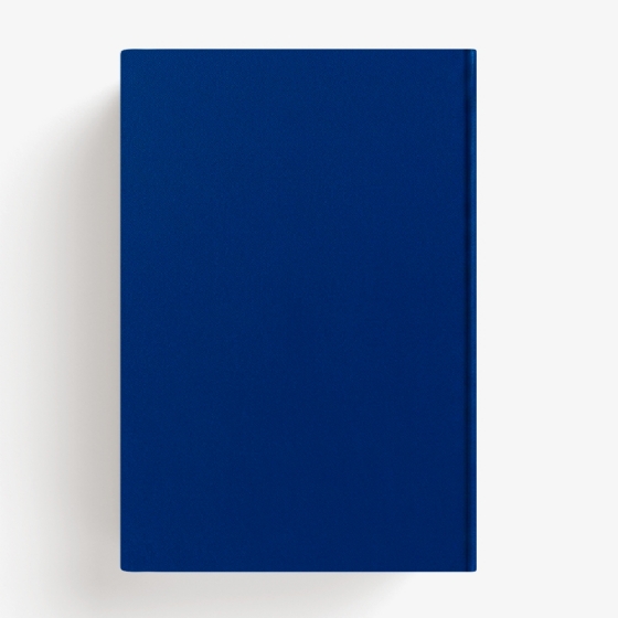 Diário Bíblico PVC Azul - 2027